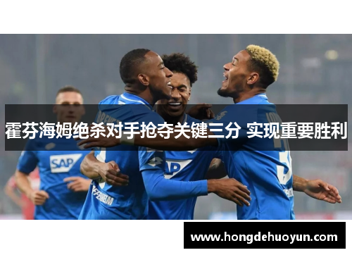 霍芬海姆绝杀对手抢夺关键三分 实现重要胜利