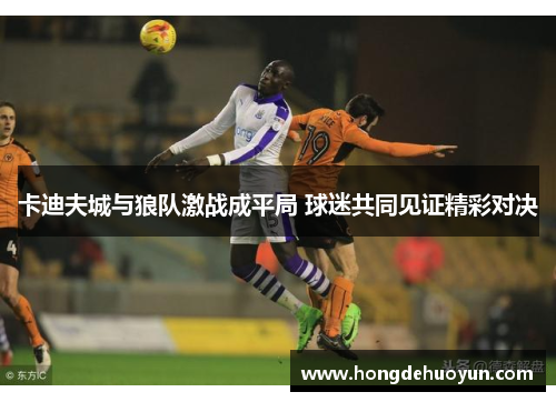 卡迪夫城与狼队激战成平局 球迷共同见证精彩对决