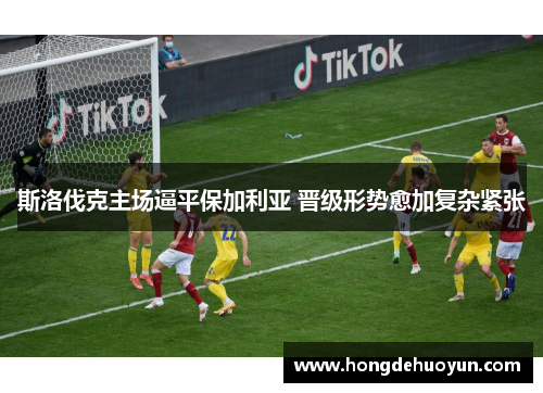斯洛伐克主场逼平保加利亚 晋级形势愈加复杂紧张