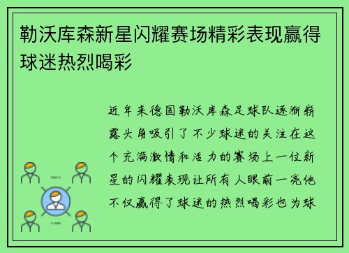 勒沃库森新星闪耀赛场精彩表现赢得球迷热烈喝彩