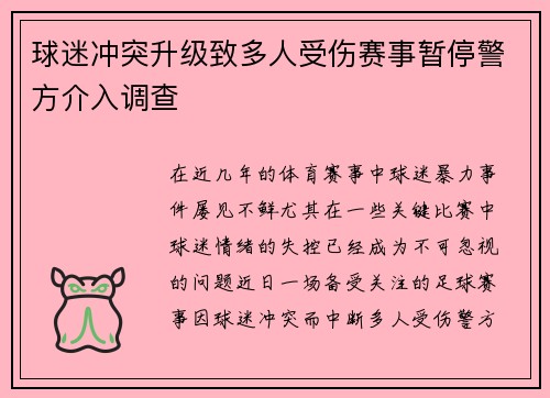 球迷冲突升级致多人受伤赛事暂停警方介入调查